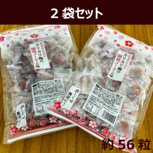 あかぎの 種とり カリカリ梅 210g×2(約...の詳細画像4