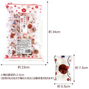 あかぎの 種とり カリカリ梅 210g×2(約...の詳細画像5