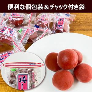 ムラオカ 梅しば 大袋 410g メール便(代...の詳細画像2