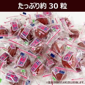 ムラオカ 梅しば 大袋 410g メール便(代...の詳細画像3