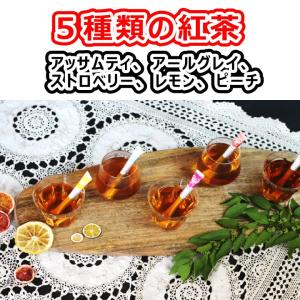 スタイルスティック ギフト 包装 紅茶 & ル...の詳細画像2