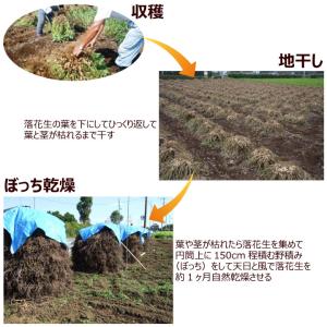 千葉県産 からつき 落花生 国産 3種セット ...の詳細画像5