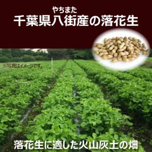 ギフト 箱入り 千葉県産 からつき 落花生 国...の詳細画像1
