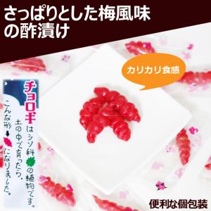 チョロギ 梅風味 27g×4 個包装 ちょろぎ...の詳細画像2