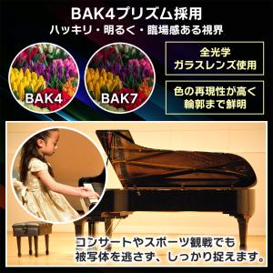 双眼鏡 10倍 コンサート用 ライブ用 コンパ...の詳細画像2