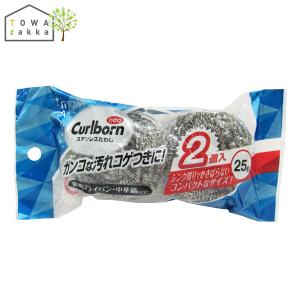 金属たわし 金たわし ステンレスたわし 25g 2個入 フライパン 鍋 こげとり 焦げ落とし キッチン 焦げ付き 焦げ コゲ 金 金属 ステンレス たわし｜kainan-zakka