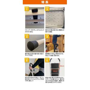 脚立 5段 折りたたみ XB-5 ホワイト 踏...の詳細画像3