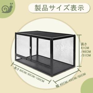 給餌ケージ ボックス 爬虫類飼育水槽 爬虫類 ...の詳細画像4