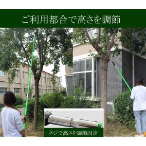 高枝切りバサミ 高枝のこぎり 高枝切りのこぎり...の詳細画像2