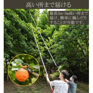 高枝切りバサミ 高枝切り鋏 高枝のこぎり 高枝...の詳細画像2