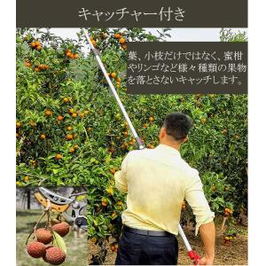 高枝切りバサミ 高枝切り鋏 高枝のこぎり 高枝...の詳細画像3