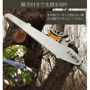 高枝切りバサミ 高枝切り鋏 高枝のこぎり 高枝...の詳細画像4