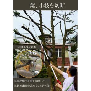 高枝切りバサミ 高枝切り鋏 高枝のこぎり 高枝...の詳細画像5