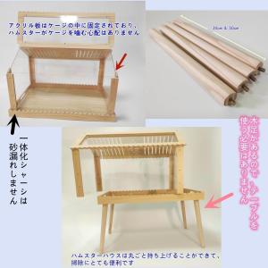 ハムスター ケージ 大きい 新デザイン クリア...の詳細画像2