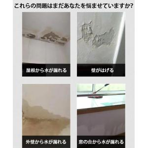 防水シーラント、300g/500g/1000g...の詳細画像3