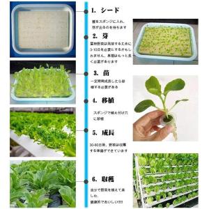 水耕栽培キット4 層 垂直水耕栽培システム 室...の詳細画像3