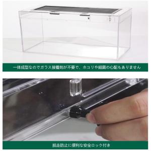 爬虫類用ガラスケージ 爬虫類テラリウムタンク ...の詳細画像3