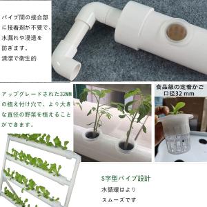 水耕栽培キット すいこう栽培キット いちご 野...の詳細画像3