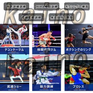 グラップリングダミー 子供用 6~30KG 中...の詳細画像4