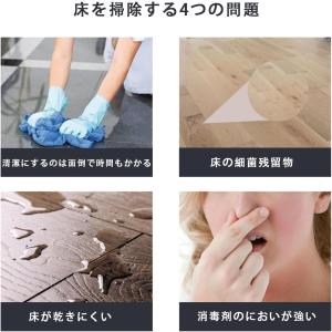 フロア用つや出し洗剤 Furniture Cl...の詳細画像3