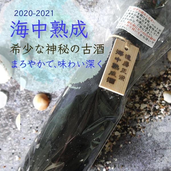 達磨正宗 海中熟成酒 2020-2021年 日本酒 /白木恒助商店／岐阜県 父の日ギフト お酒 おす...