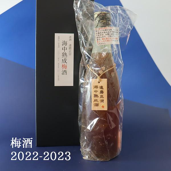 達磨正宗 海中熟成梅酒 2022-2023年 720ml/白木恒助商店／岐阜県