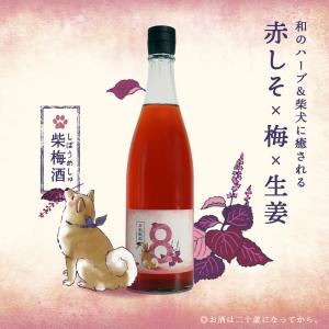 クラフト ゆず酒 8th Ocean 貪夢 Dreamer ドリーマー 720ml 深川