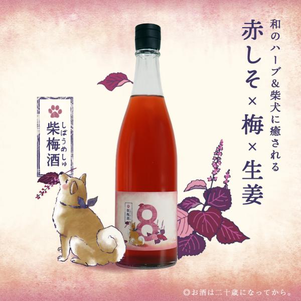 梅酒 8th Ocean 柴梅酒 エイスオーシャン しばうめしゅ  720ml  深川リキュルラボ　...