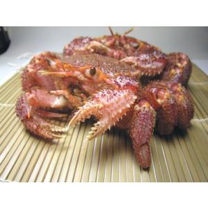 No311 極上毛がに ２尾セット ８００ｇ前後 【大中サイズ】やっぱり未冷凍【活毛ガニ】活きたまま配送！【浜茹で毛がに】は発送当日に浜茹でからの即日発送！
