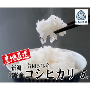 米 産地直送 5kg コシヒカリ 5年産 新潟 岩船米 精米 白米