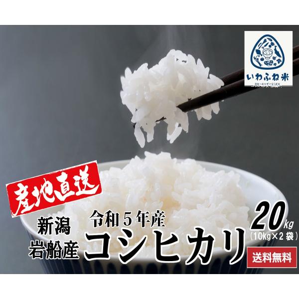 米 送料無料 産地直送 20kg（10kg×２袋） コシヒカリ 5年産 新潟 岩船米 精米 白米（一...