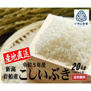 米 送料無料 こしいぶき 産地直送 20kg（10kg×2袋）5年産 新潟 岩船米 精米 白米 新潟限定品種 家計にやさしい（一部地域を除き送料無料）