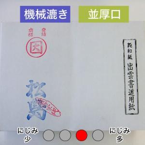 漢字用紙 練習用 半紙 松島 1000枚 書道用紙 書道半紙