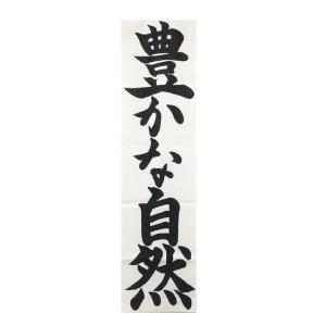 書初め用紙 千葉判 20枚 215×830mm HO1258