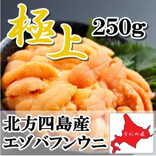 【極上】無添加 塩水生うに250g(エゾバフンウニ)(北方四島産)(北海道うに丼)