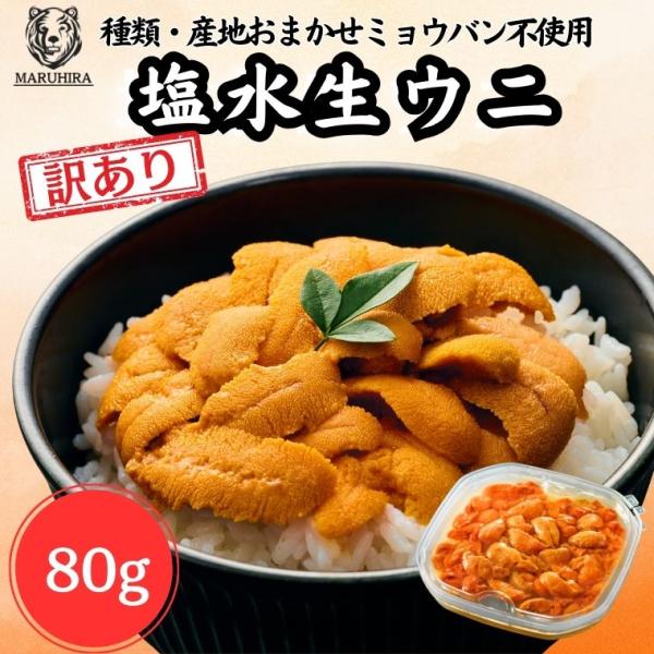 【ウニ専門の卸売店】【日付指定なし】ウニ 「訳あり 無添加 塩水生うに」塩水 80g 季節のウニ 雲...