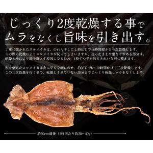 するめいか 3枚 スルメイカ するめ あたりめ...の詳細画像3