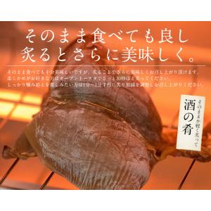 するめいか 3枚 スルメイカ するめ あたりめ...の詳細画像5