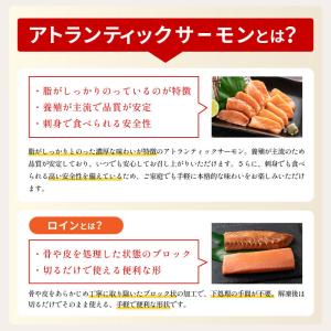 サーモン アトランティックサーモン 刺身 生と...の詳細画像5