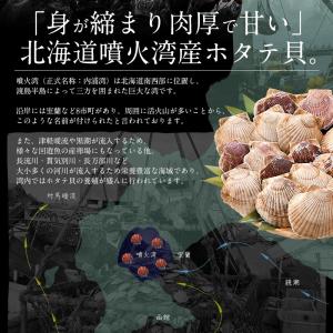 ホタテ ほたて ボイル 800g(約21〜25...の詳細画像2