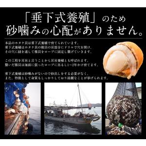ホタテ ほたて ボイル 800g(約21〜25...の詳細画像3