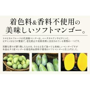 バナナチップス&ソフトマンゴー 500g バナ...の詳細画像5