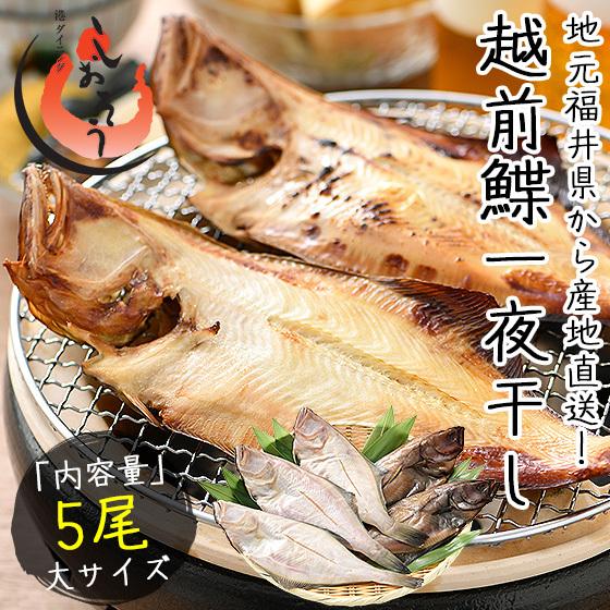 干物 越前ガレイ 越前がれい カレイ かれい 鰈 大サイズ×5尾 赤ガレイ 赤カレイ 赤鰈 母の日