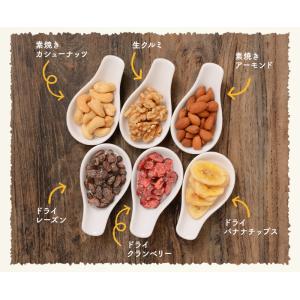 6種のフルーツナッツ 500g アーモンド カ...の詳細画像4