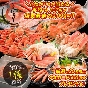 最大24,800円の越前蟹が当たる！平均14,107円相当⇒9,999円送料無料 運試しカニ福袋 500個限定 かに 蟹 福袋 父の日 爆買
