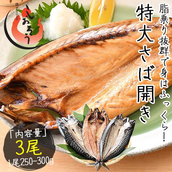 干物 さば サバ 鯖 特大サイズ 約250〜300g×3尾 干物 詰め合わせ   ギフト 父の日