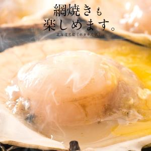 ホタテ ほたて 殻付き 10枚 北海道産 片貝...の詳細画像1