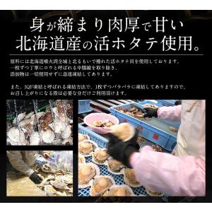 ホタテ ほたて 殻付き 10枚 北海道産 片貝...の詳細画像2