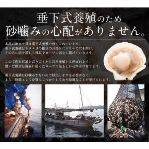 ホタテ ほたて 殻付き 30枚(10枚×3袋)...の詳細画像3