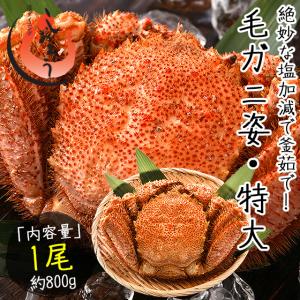 かに カニ 蟹 毛蟹 毛がに 毛ガニ 800g前後×1尾 北海道産   ギフト 父の日